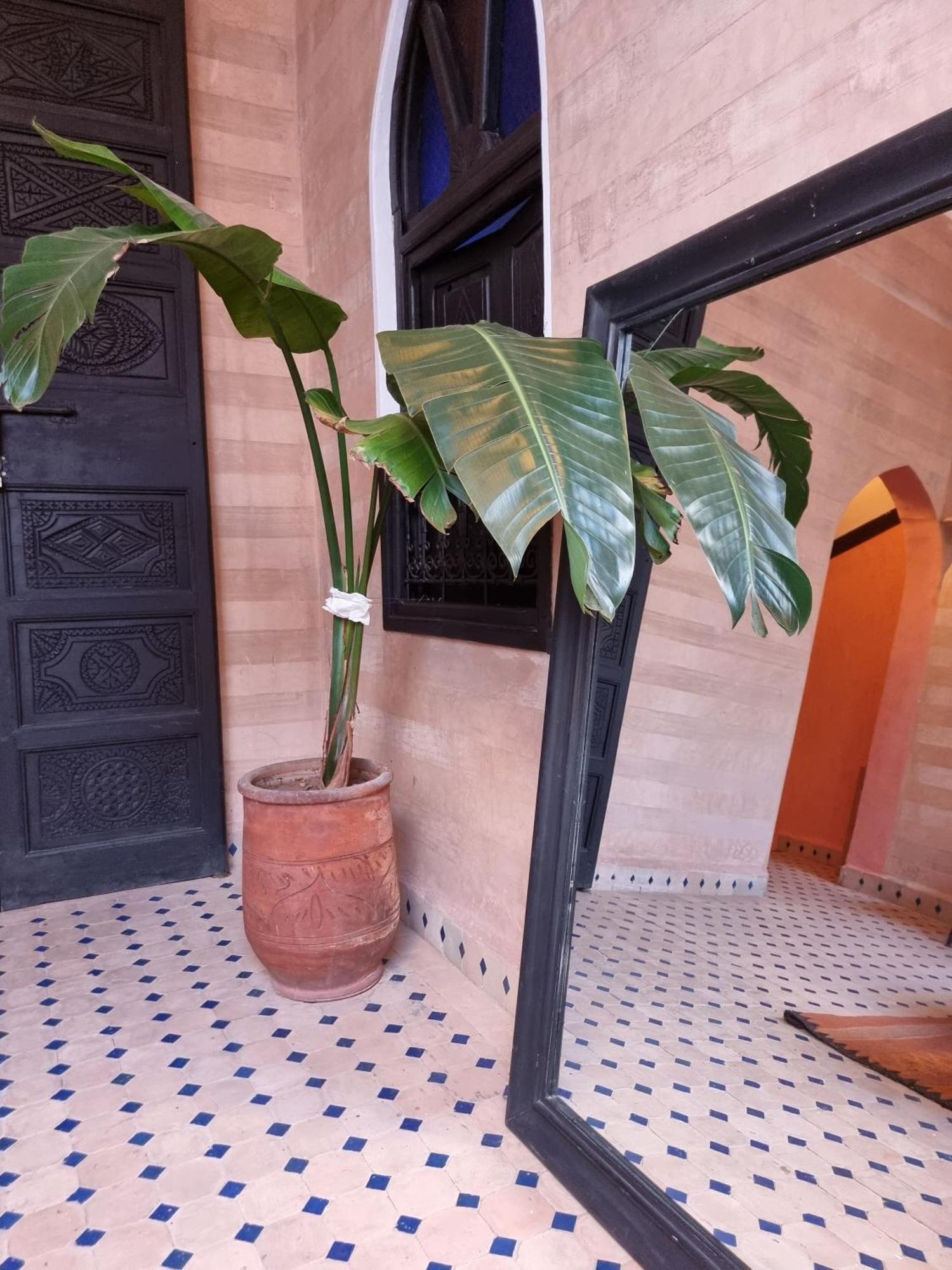 Riad Black Doors Marrakesh Exterior foto