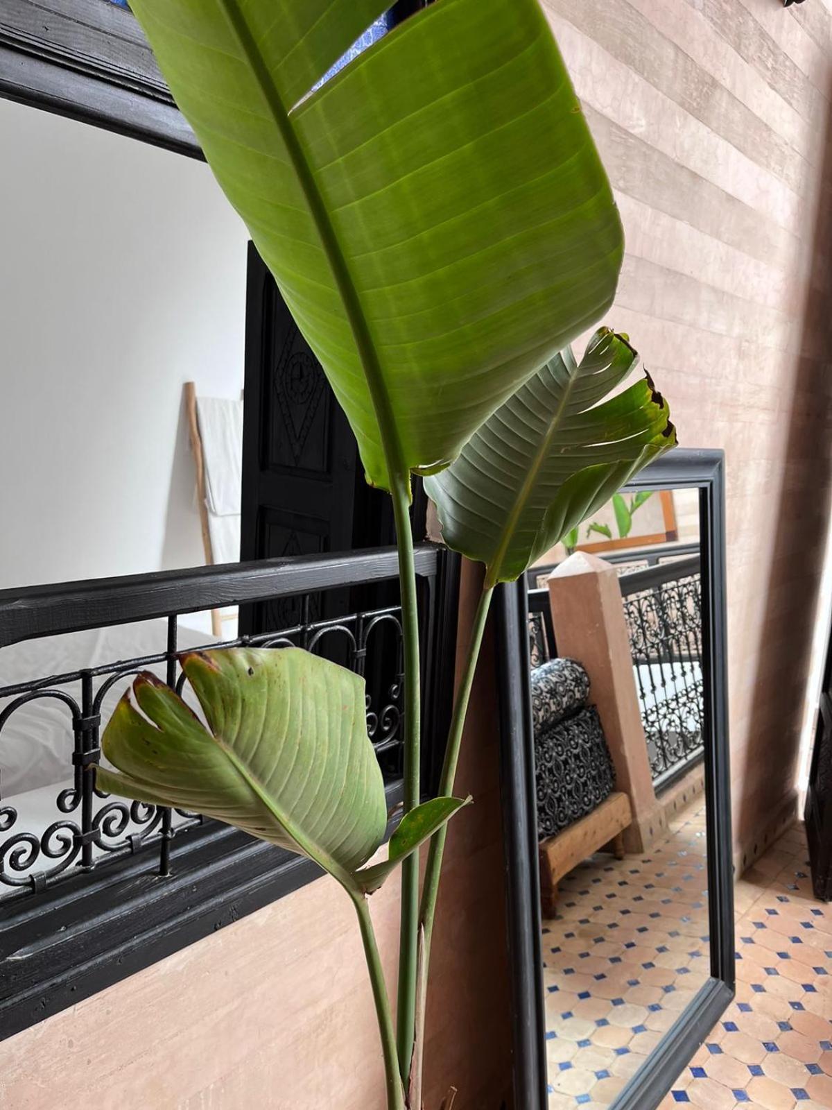 Riad Black Doors Marrakesh Exterior foto